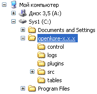 Структура вашего каталога OpenKore должна выглядеть примерно так.